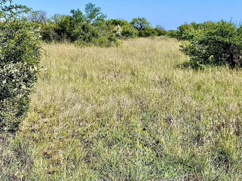 0 Bedroom Property for Sale in Reivilo Rural North West